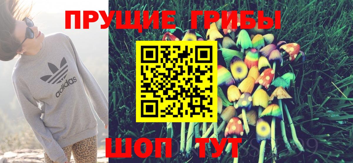 Псилоцибиновые грибы ЛСД Камышлов