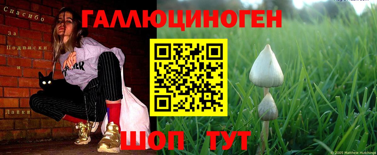 Псилоцибиновые грибы GOLDEN TEACHER  Галлюциногенные грибы мухоморы  Вход с VPN  Камышлов 